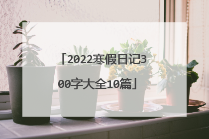 2022寒假日记300字大全10篇
