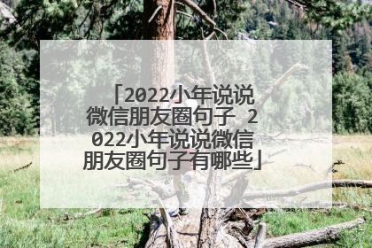 2022小年说说微信朋友圈句子 2022小年说说微信朋友圈句子有哪些