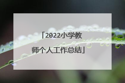 2022小学教师个人工作总结