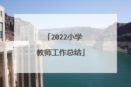 2022小学教师工作总结