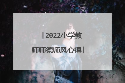 2022小学教师师德师风心得