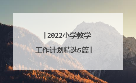 2022小学教学工作计划精选5篇