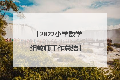 2022小学数学组教师工作总结