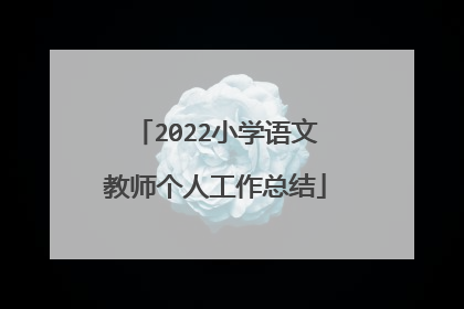2022小学语文教师个人工作总结