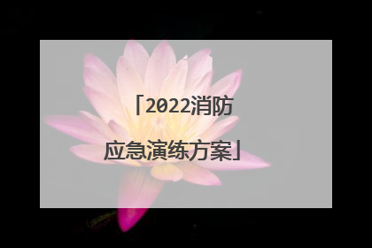2022消防应急演练方案