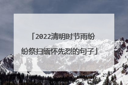 2022清明时节雨纷纷祭扫缅怀先烈的句子