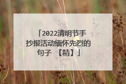 2022清明节手抄报活动缅怀先烈的句子 【精】