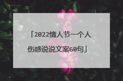 2022情人节一个人伤感说说文案60句