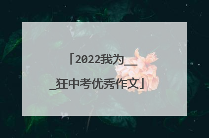 2022我为___狂中考优秀作文