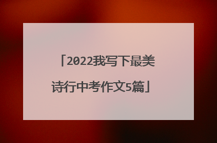 2022我写下最美诗行中考作文5篇
