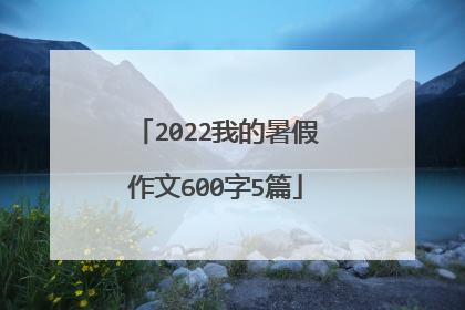 2022我的暑假作文600字5篇