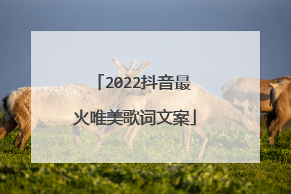 2022抖音最火唯美歌词文案