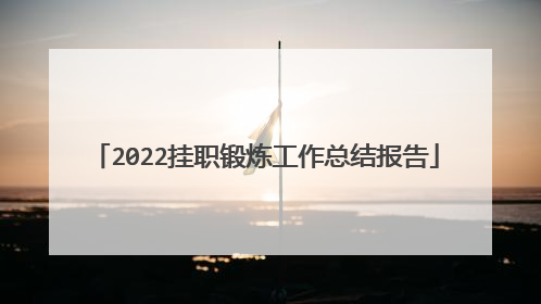 2022挂职锻炼工作总结报告
