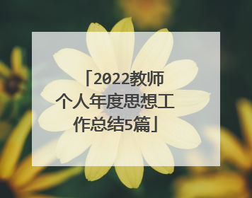 2022教师个人年度思想工作总结5篇