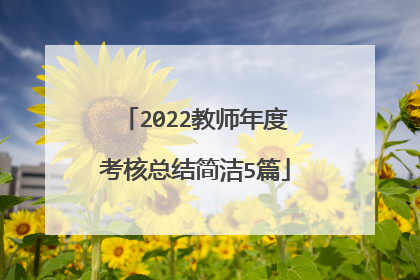 2022教师年度考核总结简洁5篇