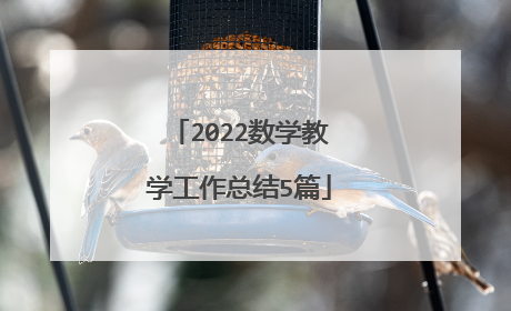 2022数学教学工作总结5篇