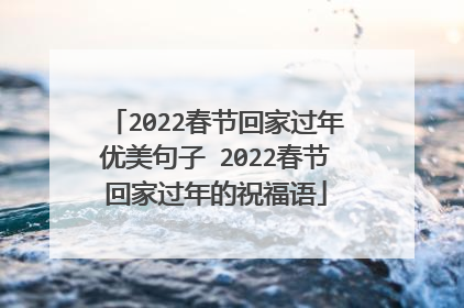 2022春节回家过年优美句子 2022春节回家过年的祝福语