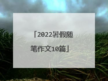 2022暑假随笔作文10篇