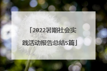 2022暑期社会实践活动报告总结5篇