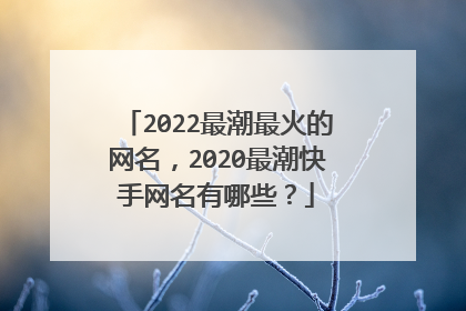 2022最潮最火的网名,2020最潮快手网名有哪些?