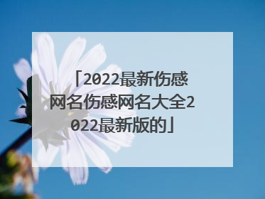 2022最新伤感网名伤感网名大全2022最新版的