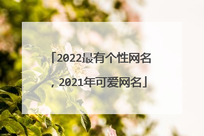 2022最有个性网名,2021年可爱网名