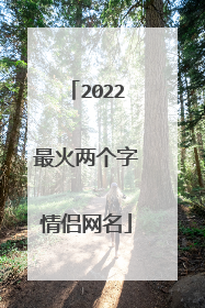 2022最火两个字情侣网名