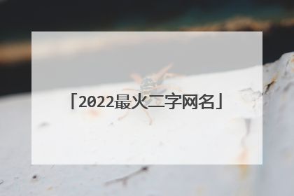 2022最火二字网名