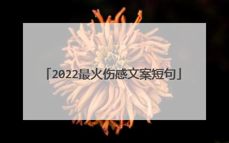 2022最火伤感文案短句