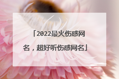 2022最火伤感网名,超好听伤感网名