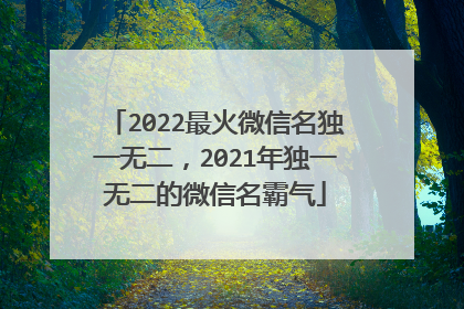2022最火微信名独一无二,2021年独一无二的微信名霸气