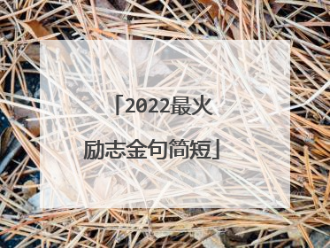 2022最火励志金句简短