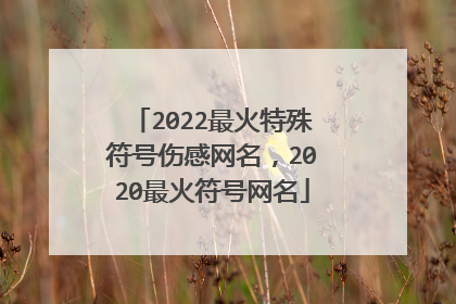 2022最火特殊符号伤感网名，2020最火符号网名