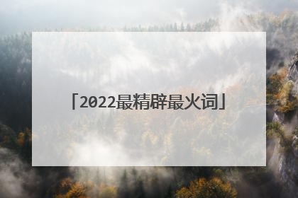 2022最精辟最火词