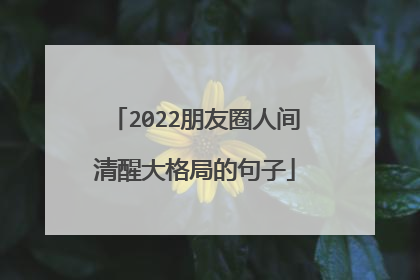 2022朋友圈人间清醒大格局的句子