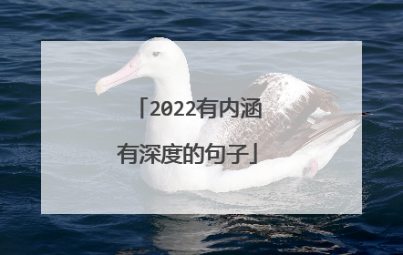 2022有内涵有深度的句子