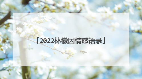 2022林徽因情感语录