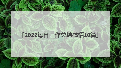 2022每日工作总结感悟10篇