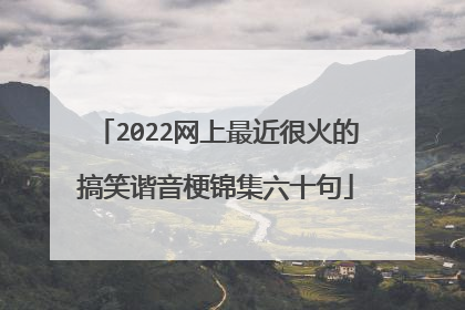 2022网上最近很火的搞笑谐音梗锦集六十句