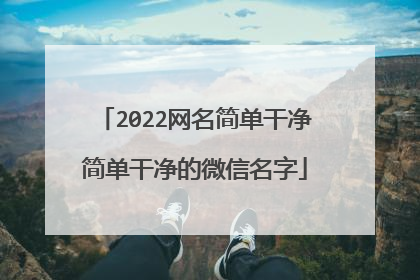 2022网名简单干净简单干净的微信名字