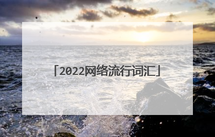 2022网络流行词汇