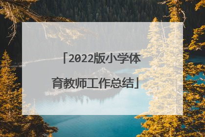2022版小学体育教师工作总结