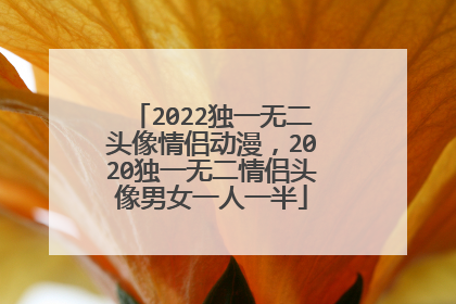 2022独一无二头像情侣动漫，2020独一无二情侣头像男女一人一半