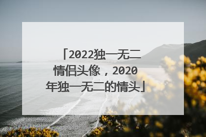 2022独一无二情侣头像，2020年独一无二的情头