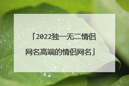 2022独一无二情侣网名高端的情侣网名
