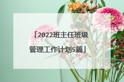 2022班主任班级管理工作计划5篇