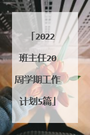2022班主任20周学期工作计划5篇