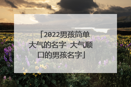 2022男孩简单大气的名字 大气顺口的男孩名字