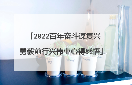 2022百年奋斗谋复兴勇毅前行兴伟业心得感悟