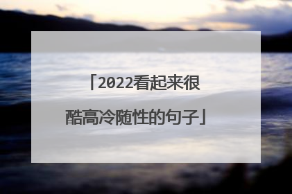 2022看起来很酷高冷随性的句子